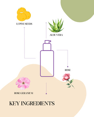 Lupine Seed+Rose Day Cream 2-in-1 | Reviving & Firming